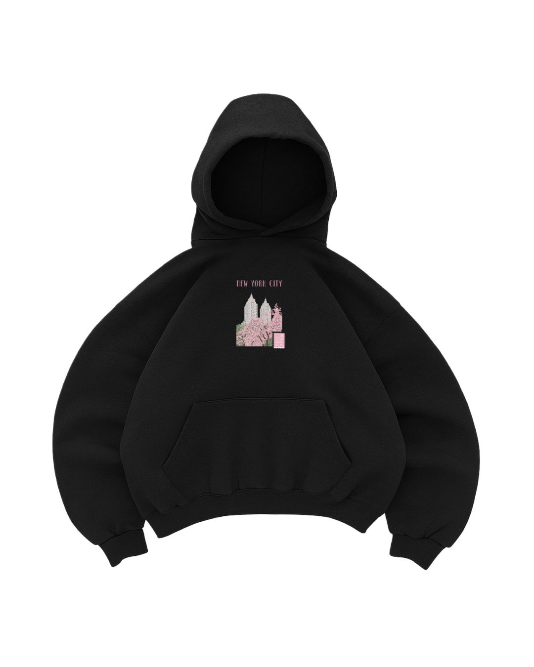 Hoodie  manga globo New York city