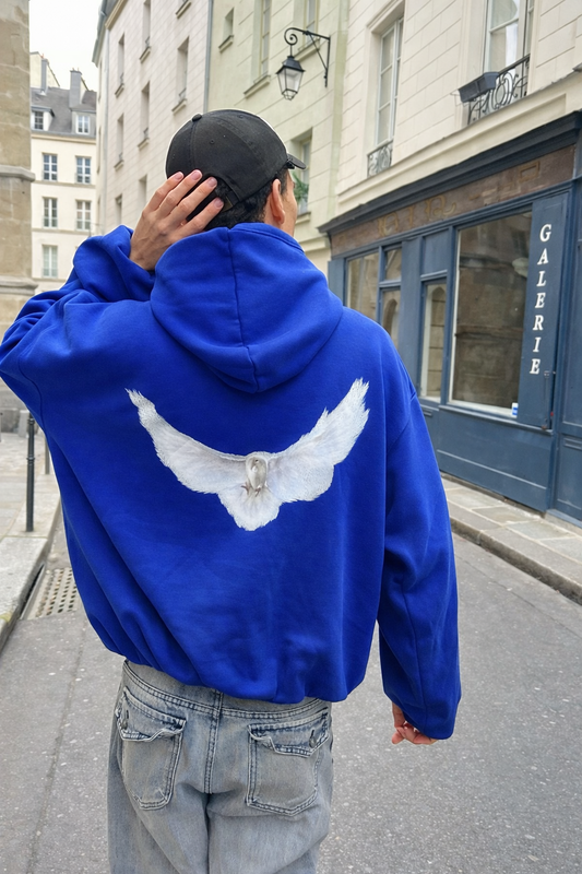 Hoodie dove mangas globo