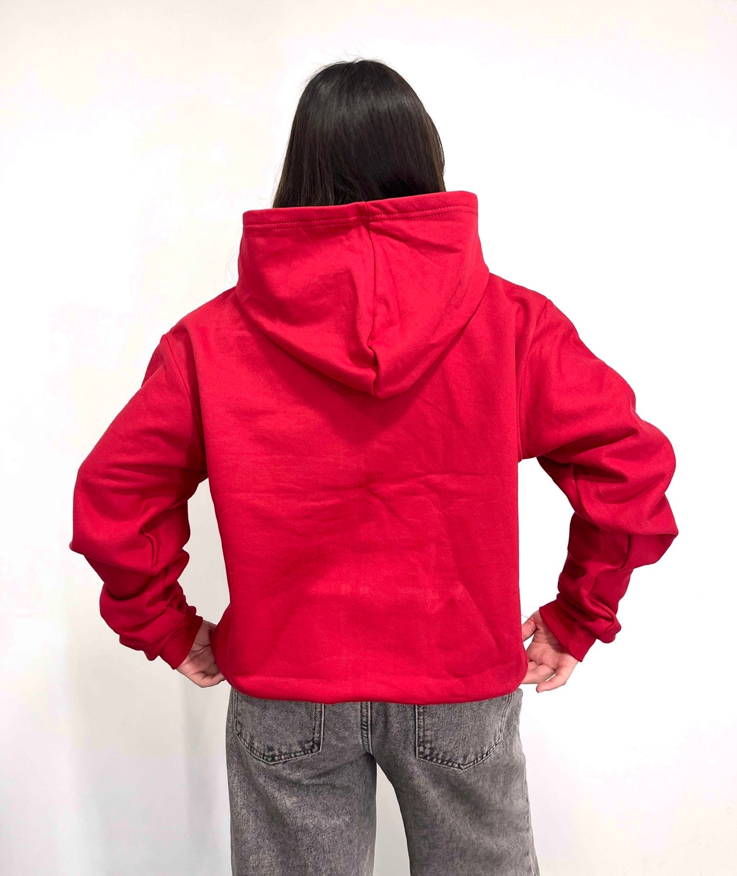 Basic red - Hoodie Clásico zip